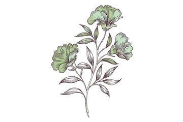 Minimalist Floral Line Art  Elegant Branch & Greenery for Logo or Tattoo PNG