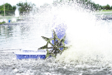 Photo of a waterwheel or aerator in a shrimp pond. A shrimp pond aerator or known as a water wheel...
