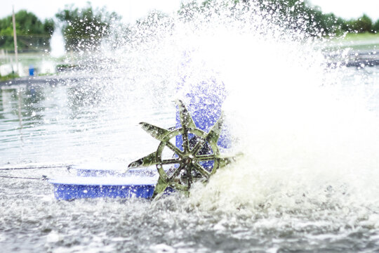 Photo of a waterwheel or aerator in a shrimp pond. A shrimp pond aerator or known as a water wheel is a tool that functions to increase oxygen levels in shrimp pond water.