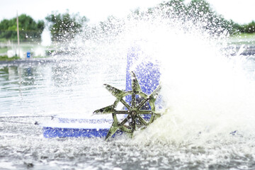 Photo of a waterwheel or aerator in a shrimp pond. A shrimp pond aerator or known as a water wheel...