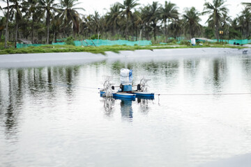 Photo of a waterwheel or aerator in a shrimp pond. A shrimp pond aerator or known as a water wheel is a tool that functions to increase oxygen levels in shrimp pond water.