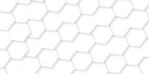 Abstract minimal vector 3d background. Abstract white background with hexagons. honeycomb  hexagon polygonal pattern. seamless bright white abstract science background.