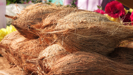 Peeled coconuts displayed in a street shop