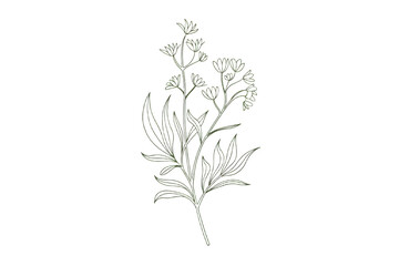 Minimalist Floral Line Art T-Shirt Elegant Branch & Greenery for Logo or Tattoo