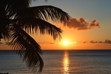 Sunset over calm ocean with palm tree silhouette, creating a serene tropical atmosphere