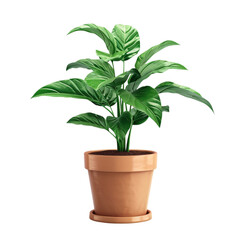 Beautiful Plant Pot with Flower Isolated on Transparent Background