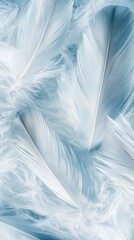 Fototapeta premium Delicate macro shot of puffin down feathers in soft gray and white tones nature textures close-up
