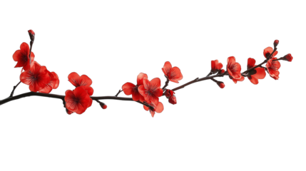 branch of red flower isolated on transparent white background, clipping path
