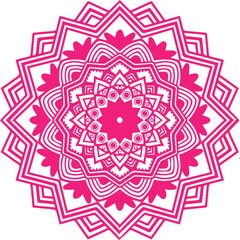 Beautiful flower art and mandala vector design