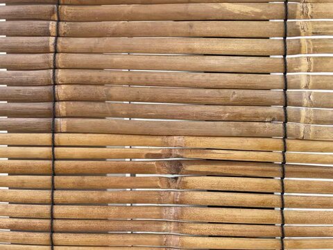 bamboo texture