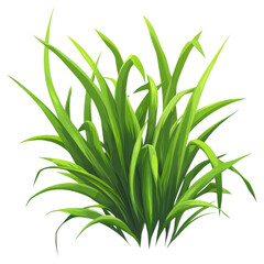 Obraz premium PNG Grass illustration green plant.