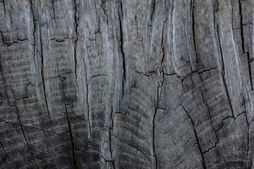 old wood background close up	