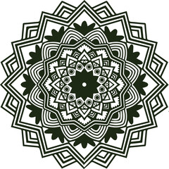 Beautiful flower art and mandala vector design