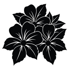 black and white hibiscus  flower vector file
