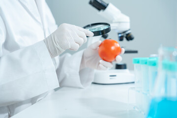 Scientist check chemical food residues in laboratory. Control experts inspect quality of vegetables...