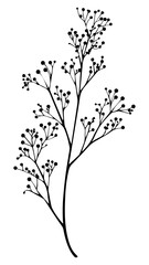 Fototapeta premium PNG Elegant botanical silhouette illustration, transparent background