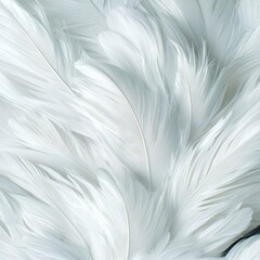 Fototapeta premium Macro shot of stork feathers close-up nature soft white texture fine details elegant