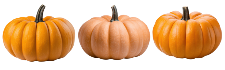 Three bright orange pumpkins with deep ridges and dark stems, isolated on a white background, symbolizing autumn, Halloween, and harvest season.