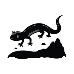 lizard on white vector Illustration
