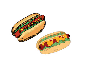 hot dog illustration. Hotdog with mustard. Vector design of hot dog food