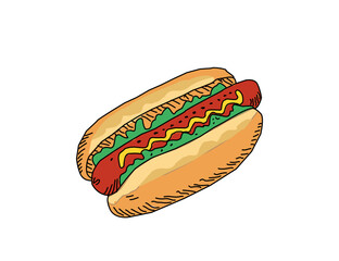 hot dog illustration. Hotdog with mustard. Vector design of hot dog food