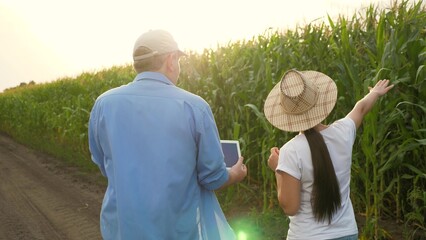Agriculture teamwork, business partner farmer agriculture, handshake sign deal, harvest fresh soil grow crops, two farmers corn field, green leaf corn plant, work hand digital tablet agronomist sunset
