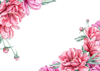 Rectangular frame watercolor summer pink peony flowers in full bloom. Hand drawn illustration frame beautiful floral succulent flowers. Botanical plant for for greeting cards, invitations, holidays.