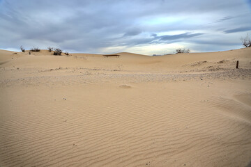 Sand dunes covered with a thin sheet of ice during a clear winter day at Monahans Sand Hills State Park, Monahans, Texas.