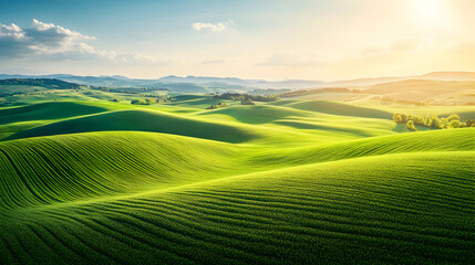 Obraz premium Lush Green Rolling Hills Under Bright Sky in Golden Hour Light