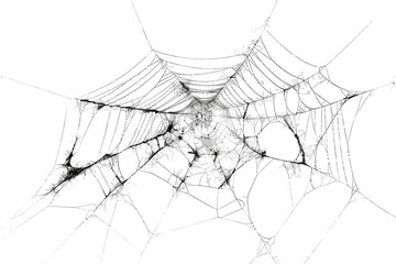 Delicate spider web intricately woven in morning light, showcasing nature's artistry and the beauty of resilience in an urban garden isolated on transparent background