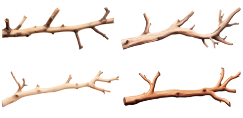 Four natural wooden branches isolated on white and red backgrounds.