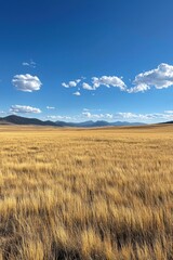 Obraz premium Wide View of Lush Grassland under Bright Sky with Cloudy Horizon