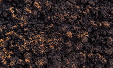 Top view of fertile garden soil. Background texture.