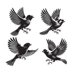 4 set of black Vector Silhouette of a Flying Flamingo on White Background