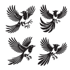 black Vector Silhouette of a Flying Magpie on White Background