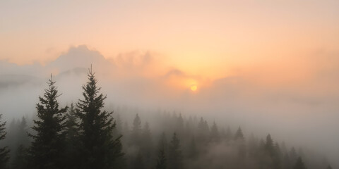 Fototapeta premium Foggy mountains with blurred pine trees and golden sunrise peeking through, stunningly captured in ultra-HD