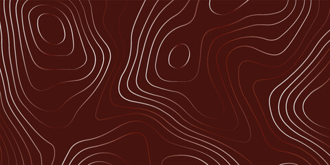 The stylized height of the topographic contour in lines and contours. The concept of a conditional geography scheme and the terrain. Wide size. Vector illustration.
