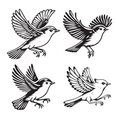 4 set of black Vector Silhouette of a Flying Pink Robin on White Background
