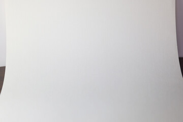 背景紙_白