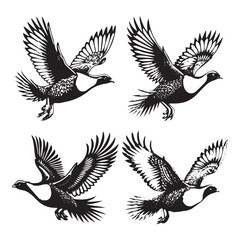 High-Quality Vector Silhouette of a Sage Grouse on White Background"