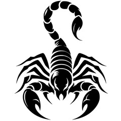 Scorpion silhouette vector design