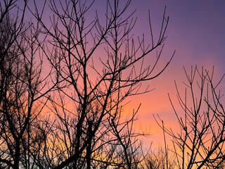 Obraz premium The sky is a beautiful orange and purple color