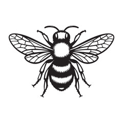 stylist colourful bee vactor-01-01