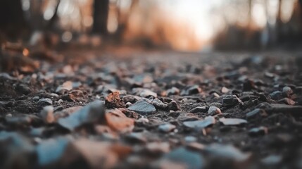 Obraz premium A close-up of rocks and pebbles on the ground, macro photography, brown tones, blurry background