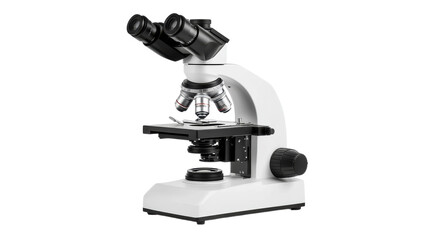 Discovering hidden worlds with a microscope in a science lab during an experiment