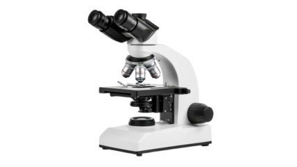 Discovering hidden worlds with a microscope in a science lab during an experiment