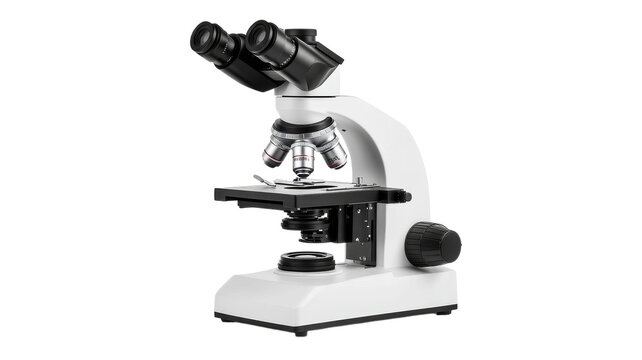 Discovering hidden worlds with a microscope in a science lab during an experiment