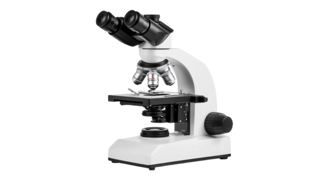 Discovering hidden worlds with a microscope in a science lab during an experiment