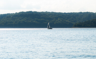 Sailboat on the Lake