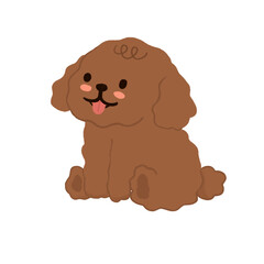 Toy Poodle Illustration 